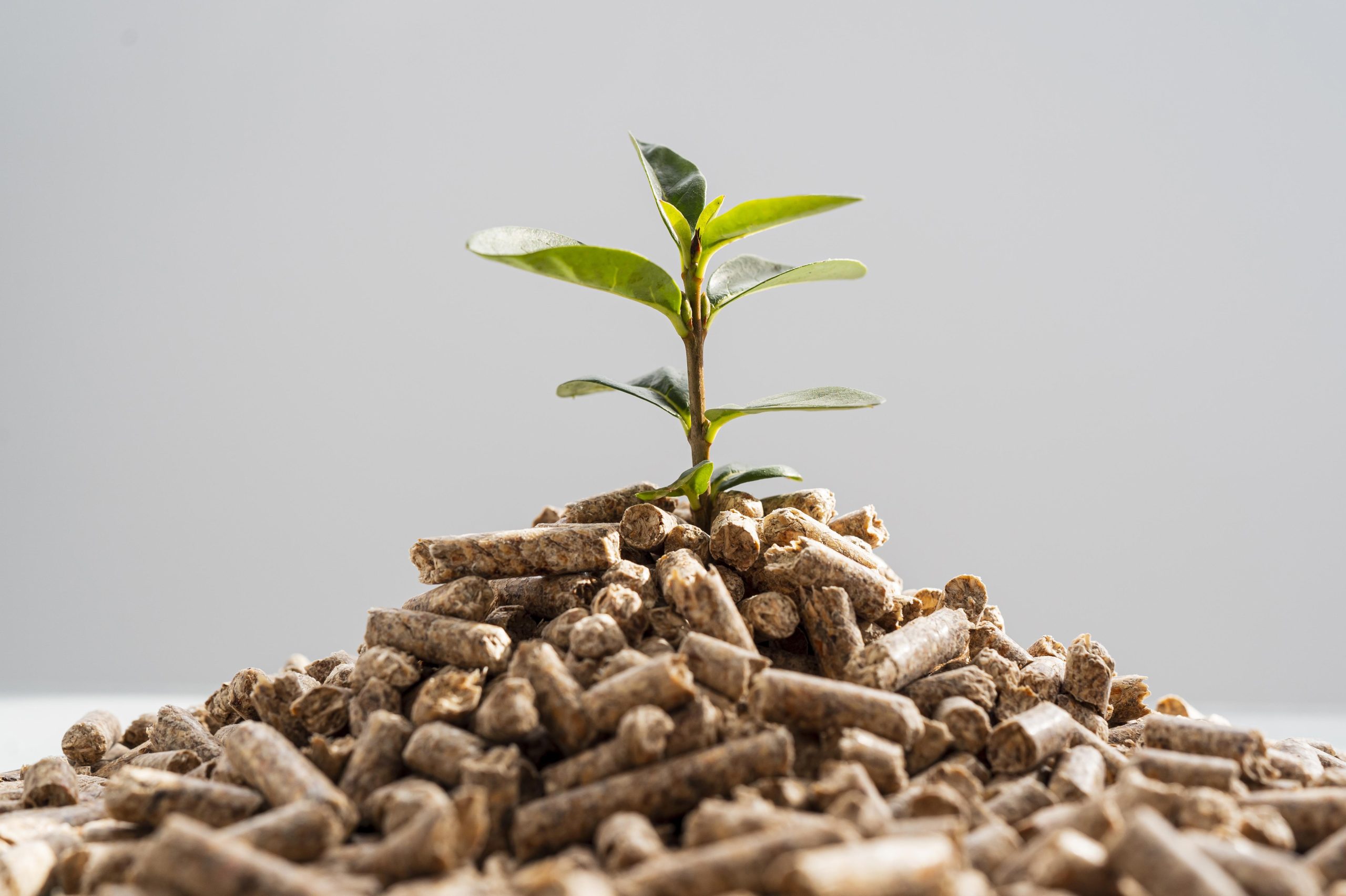 GRAINE, Gérer, Produire et Valoriser les Biomasses