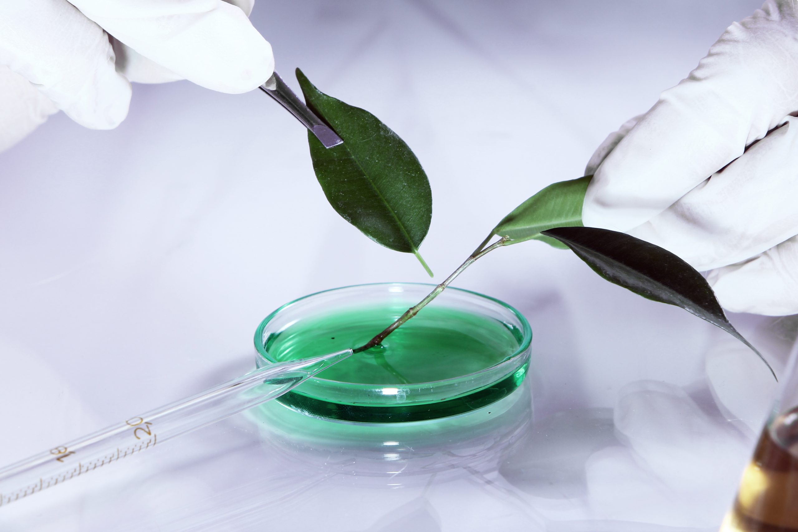 Innovations en biothérapies et bioproduction &#8211; AAP Bpifrance