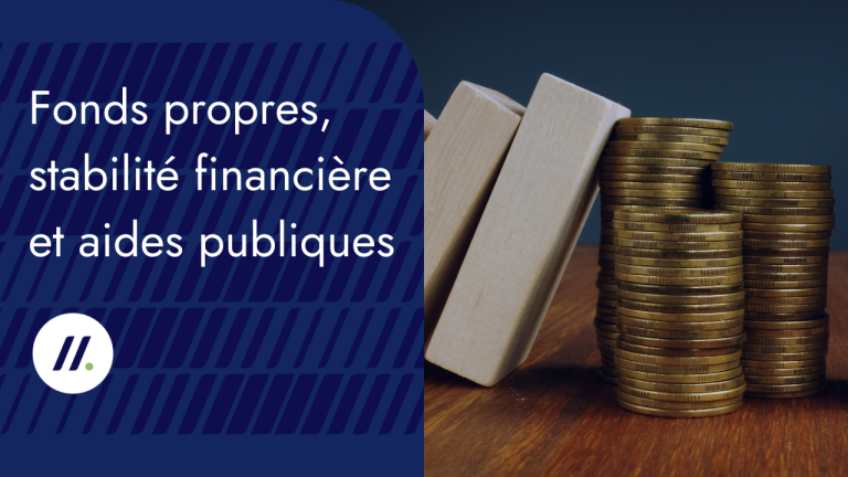 Fonds propres et stabilité financière des entreprises à la recherche d&rsquo;aides publiques