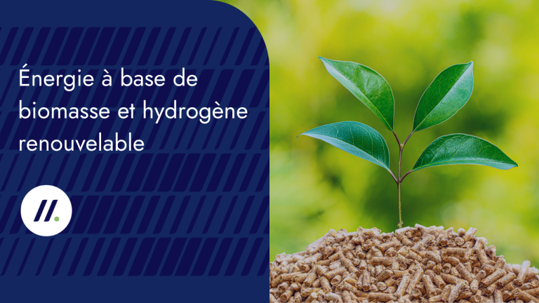 900 M€ de subventions pour l&rsquo;énergie à base de biomasse et hydrogène renouvelable