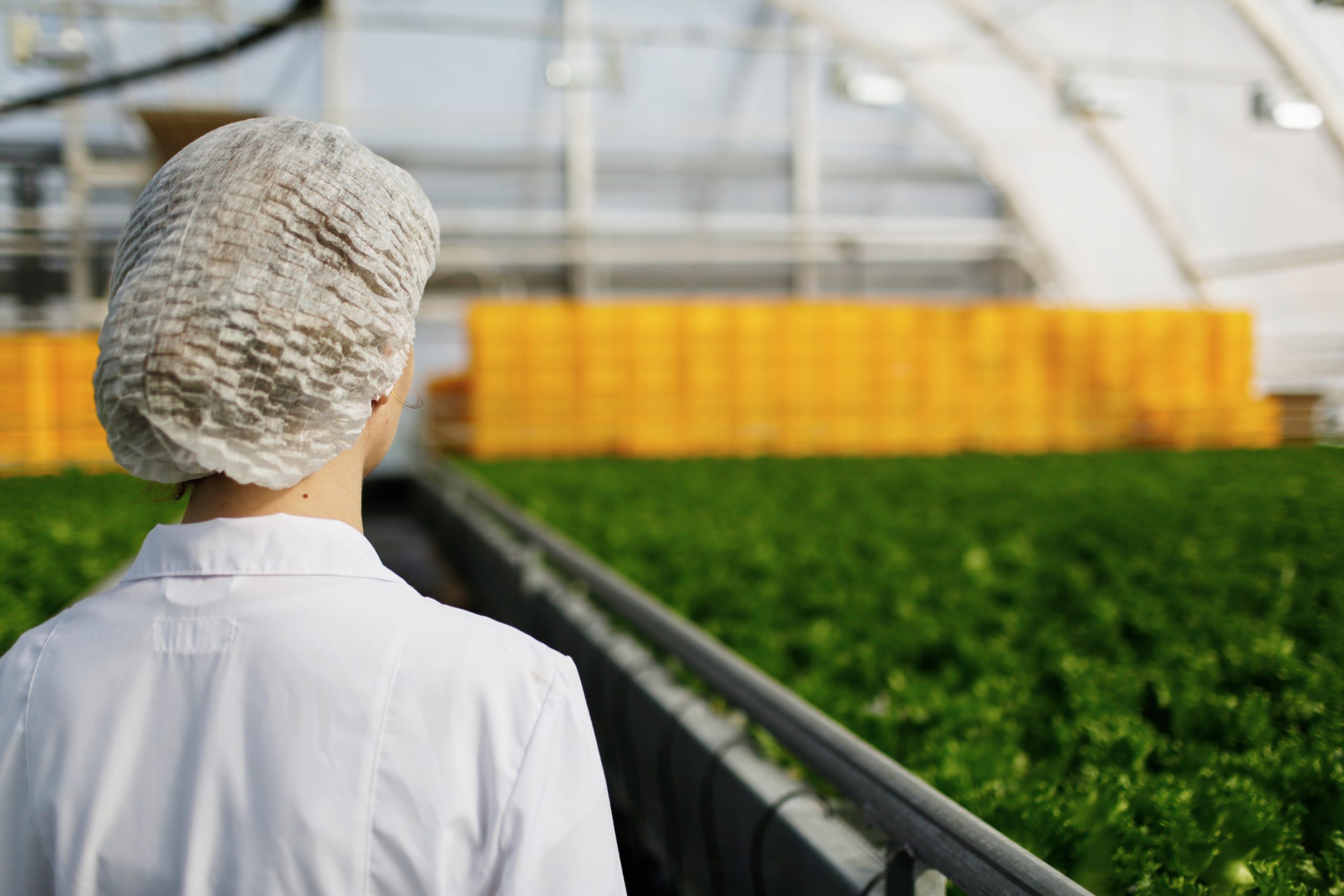 Projets territoriaux &#8211; AAP FranceAgriMer