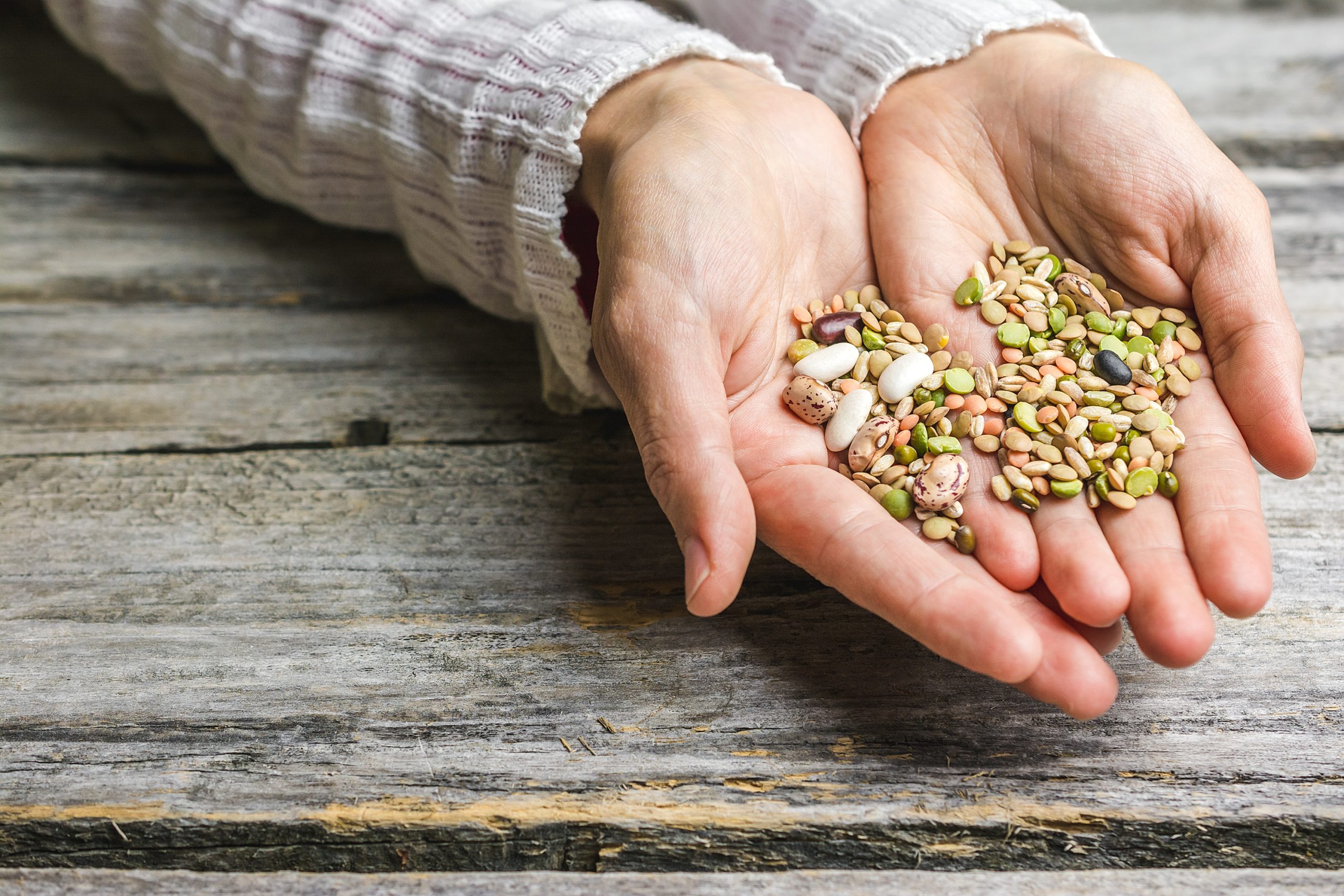 Projets territoriaux en faveur des filières légumineuses &#8211; AAP FranceAgriMer