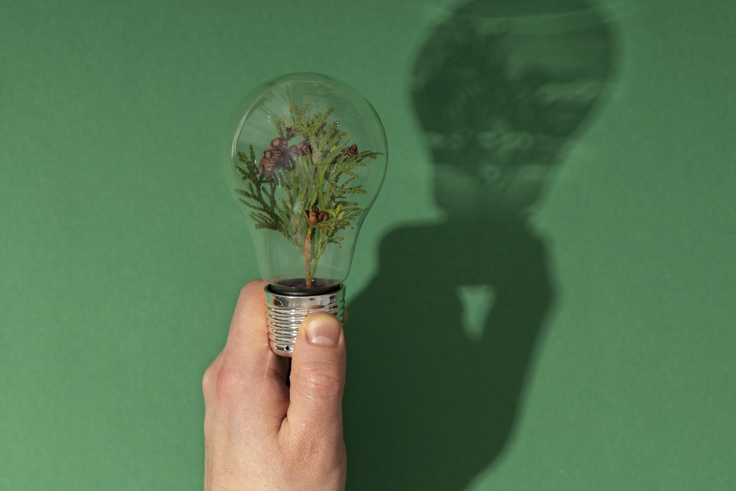 Innovation Fund 2024 : IF24 Call, IF24 Battery et IF24 Auction
