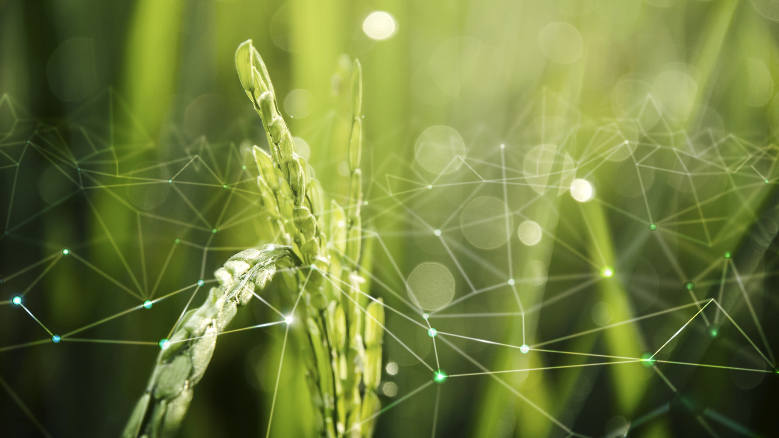 Financement des prototypes de technologies agricoles innovantes &#8211; AAP Bpifrance