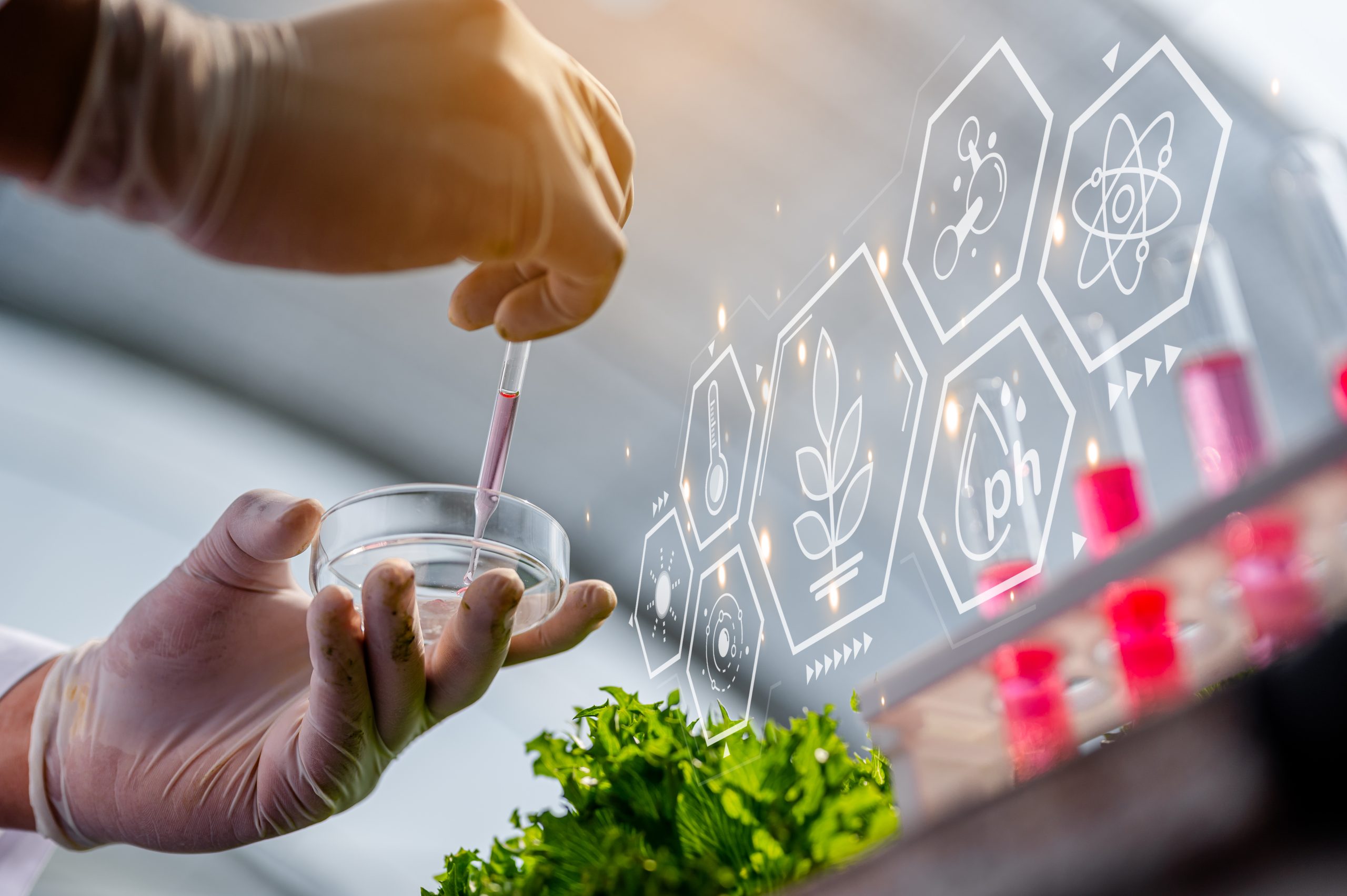 Résilience et Capacités Agroalimentaires 2030 &#8211; AAP Bpifrance
